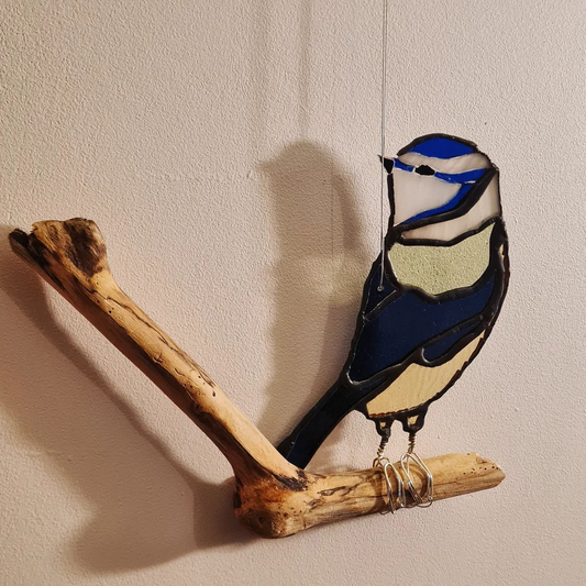 Mésange bleue