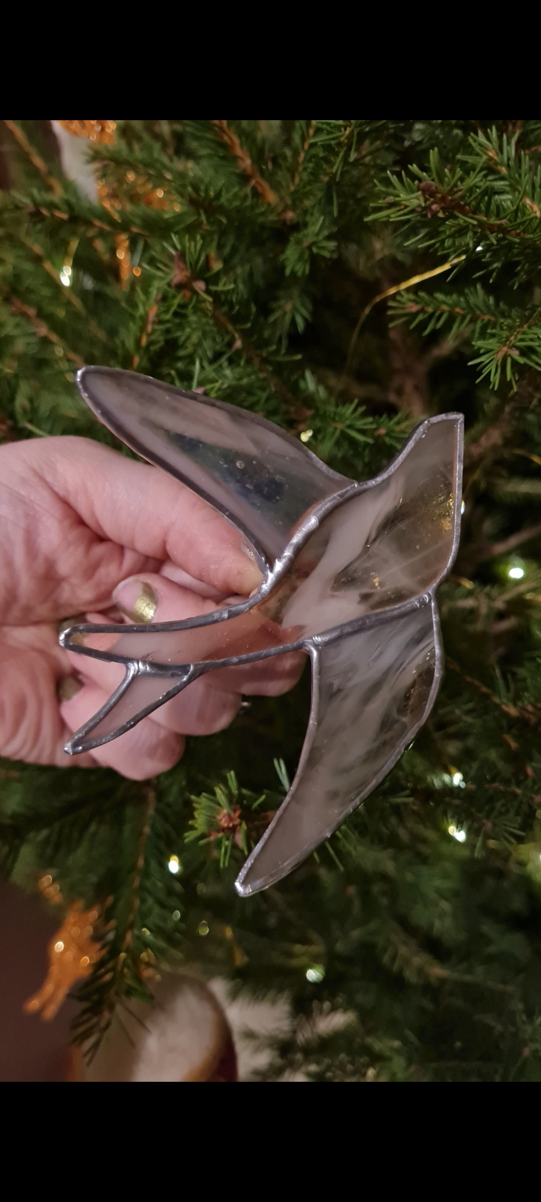 Hirondelle en vol