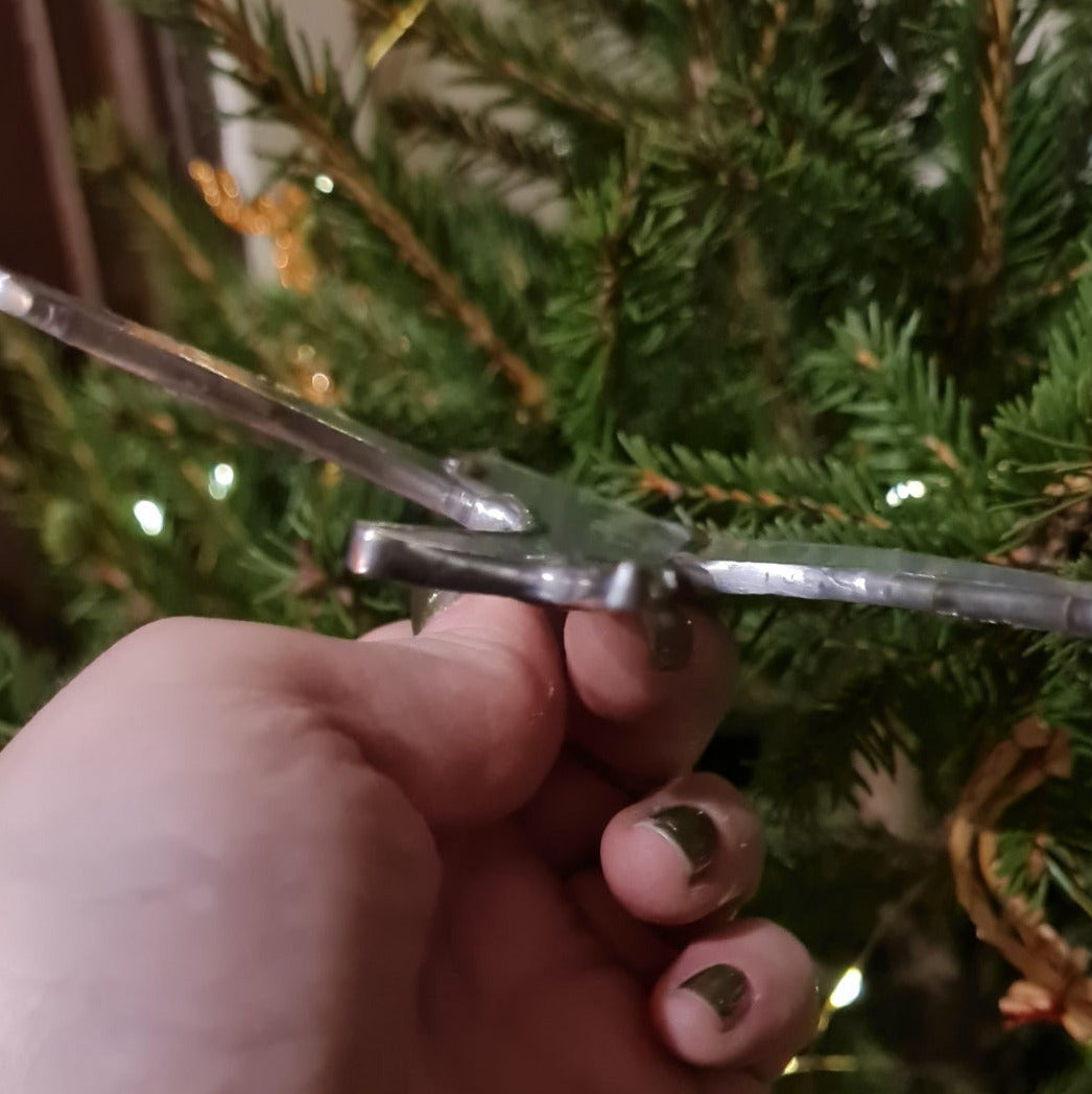 Hirondelle en vol