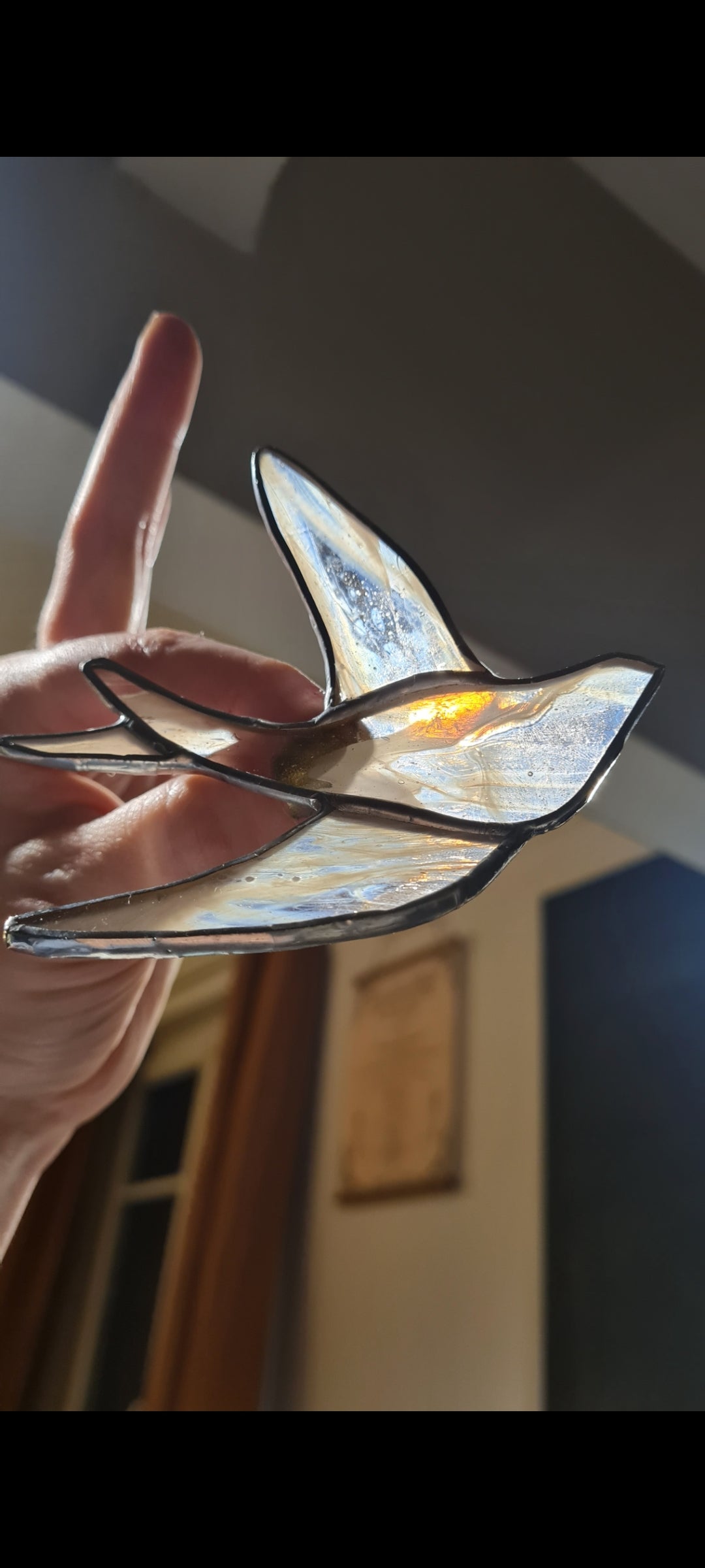 Hirondelle en vol