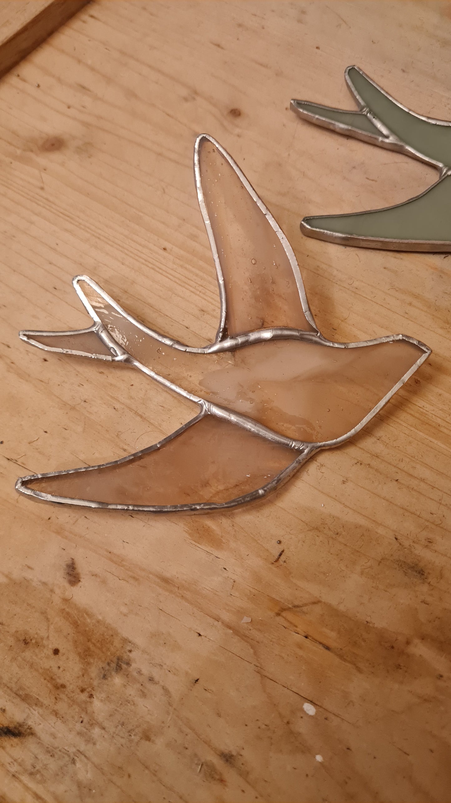 Hirondelle en vol