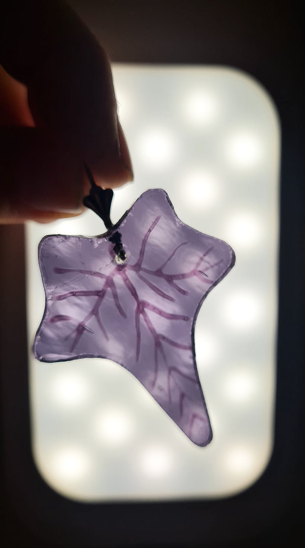 Ivy violet
