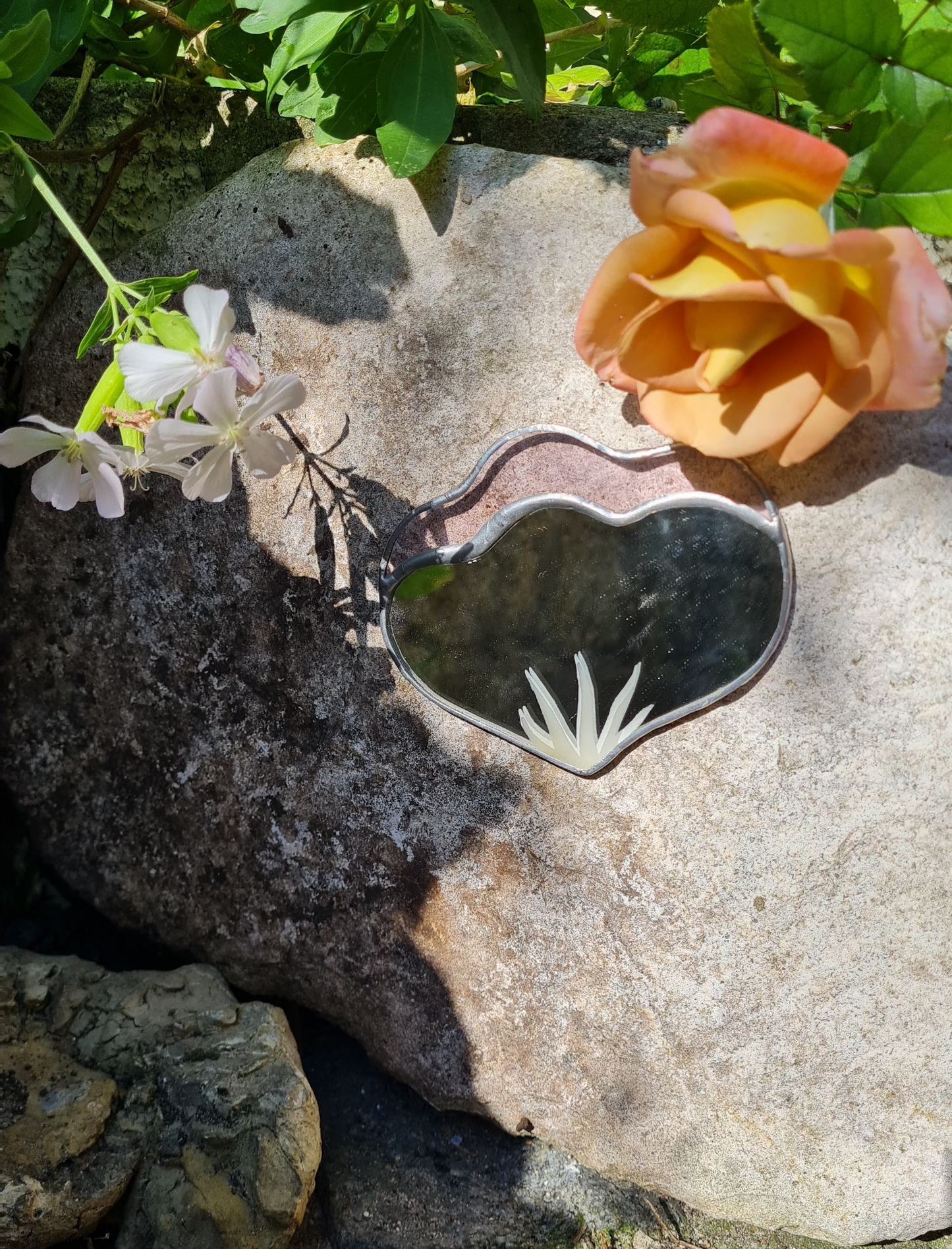 Mini du jardin argenté